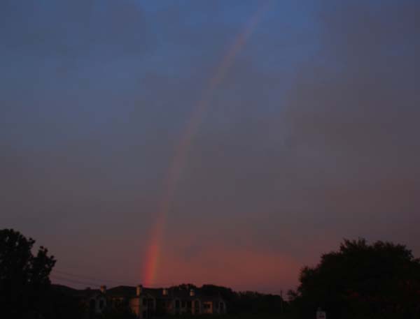 17 multi-colored